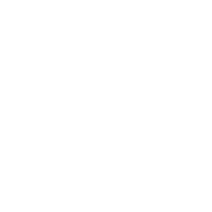 03 Audi
