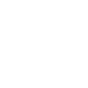 08 Williams