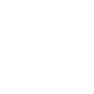 09 Lotus